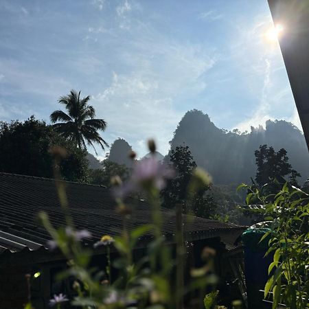 Khao Sok Backpacker Hostel Khao Sok National Park Exteriör bild