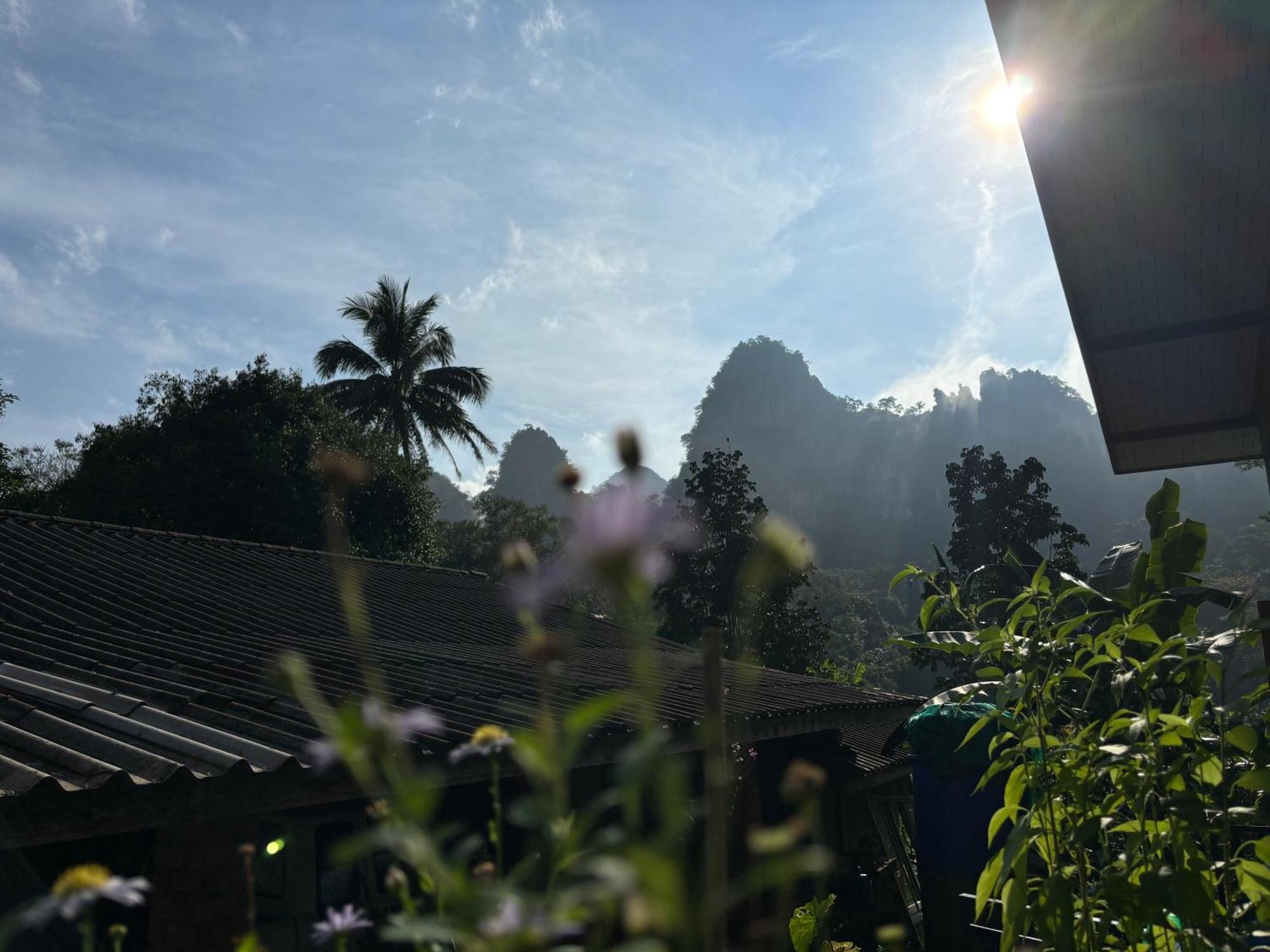 Khao Sok Backpacker Hostel Khao Sok National Park Exteriör bild